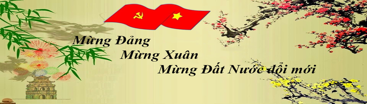 banner xuan